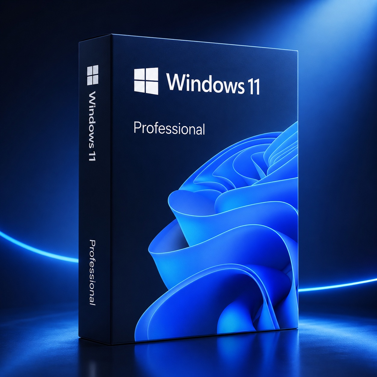 WINDOWS 11 PROFESSIONAL