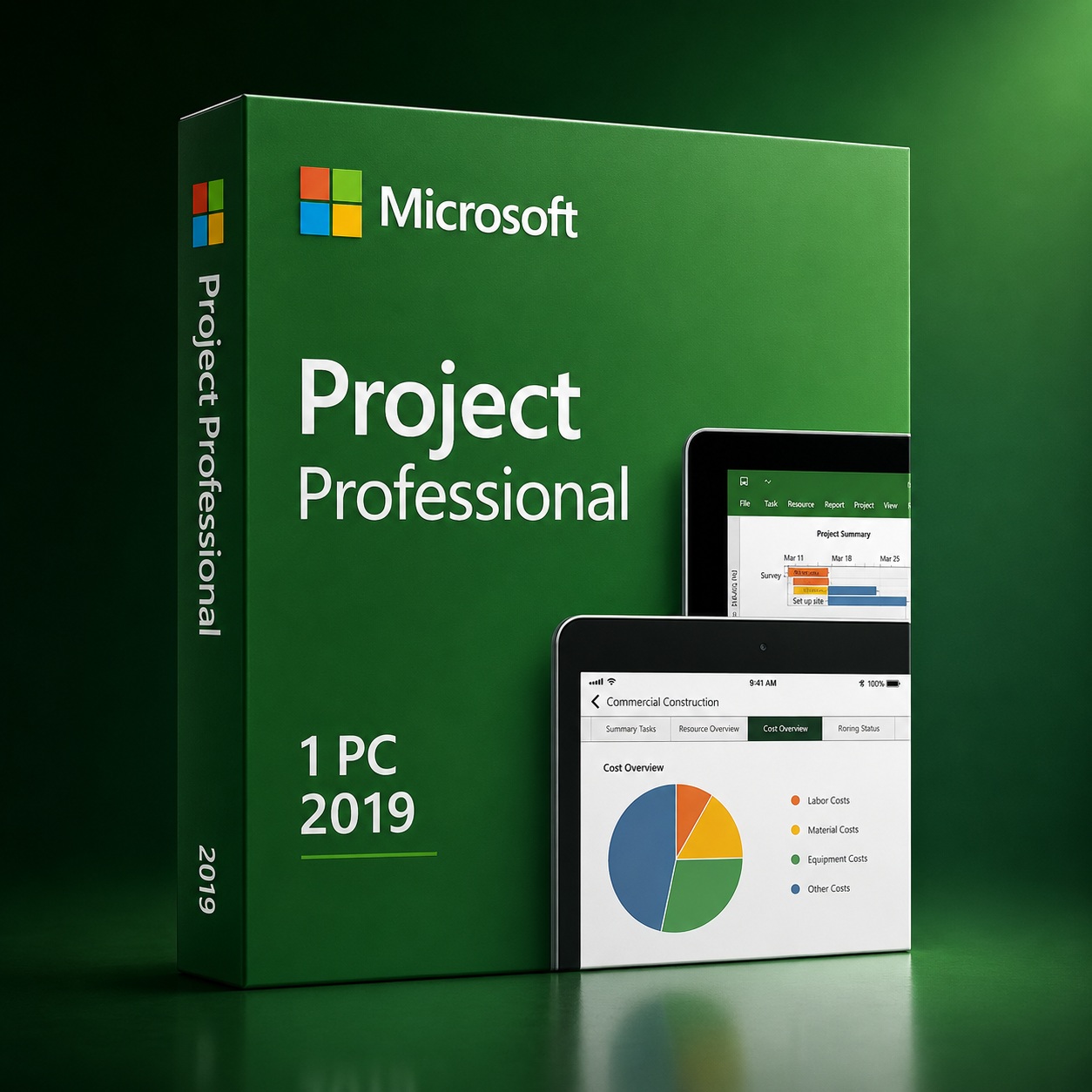 MS PROJECT PROFESSIONAL MS PROJECT PROFESSIONAL